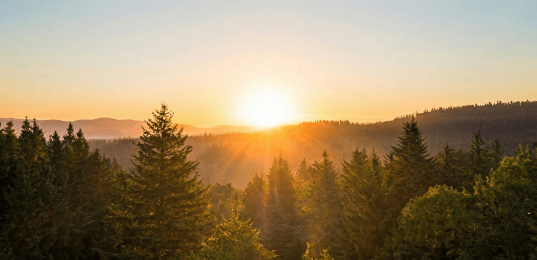 5 Техники за Дълбока Релаксация